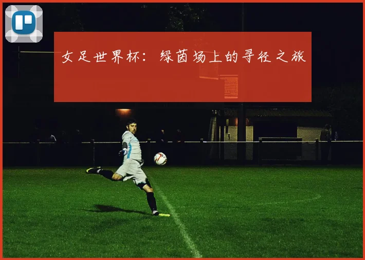 女足世界杯:绿茵场上的寻径之旅