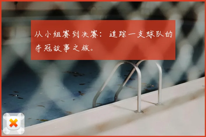 从小组赛到决赛：追踪一支球队的夺冠故事之旅。
