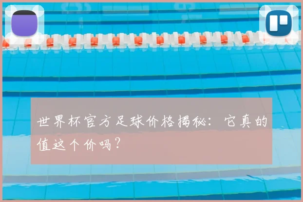 世界杯官方足球价格揭秘:它真的值这个价吗?