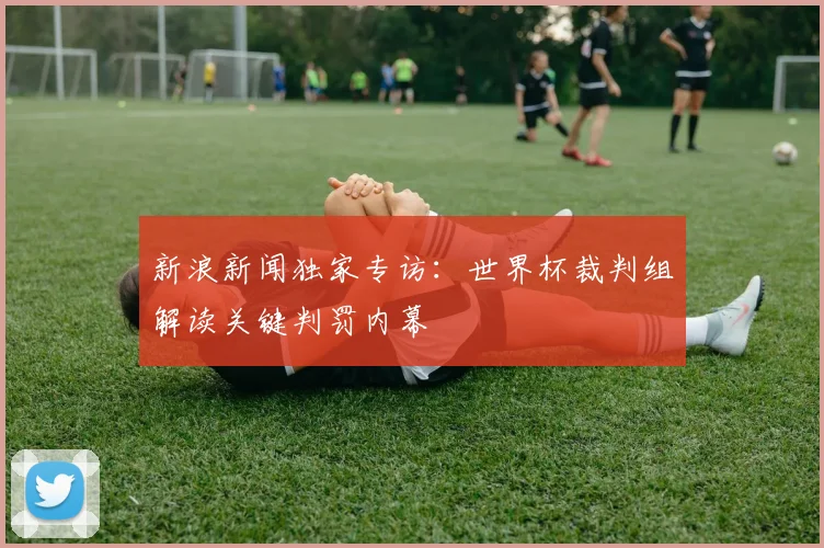 新浪新闻独家专访：世界杯裁判组解读关键判罚内幕