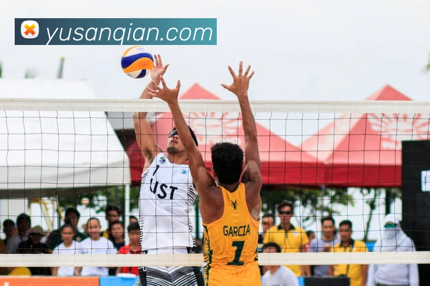 开云手机网页入口平台生态图